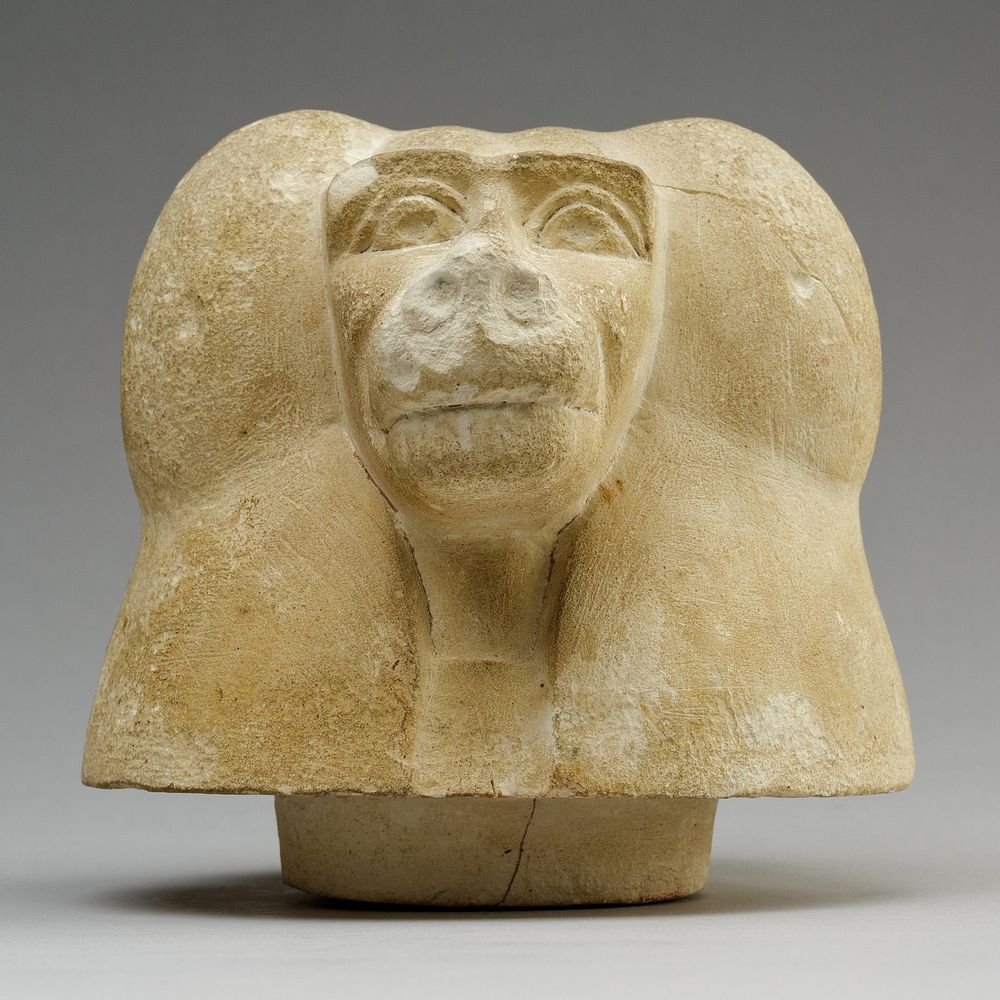 Canopic jar lid with head of a baboon (Hapy)