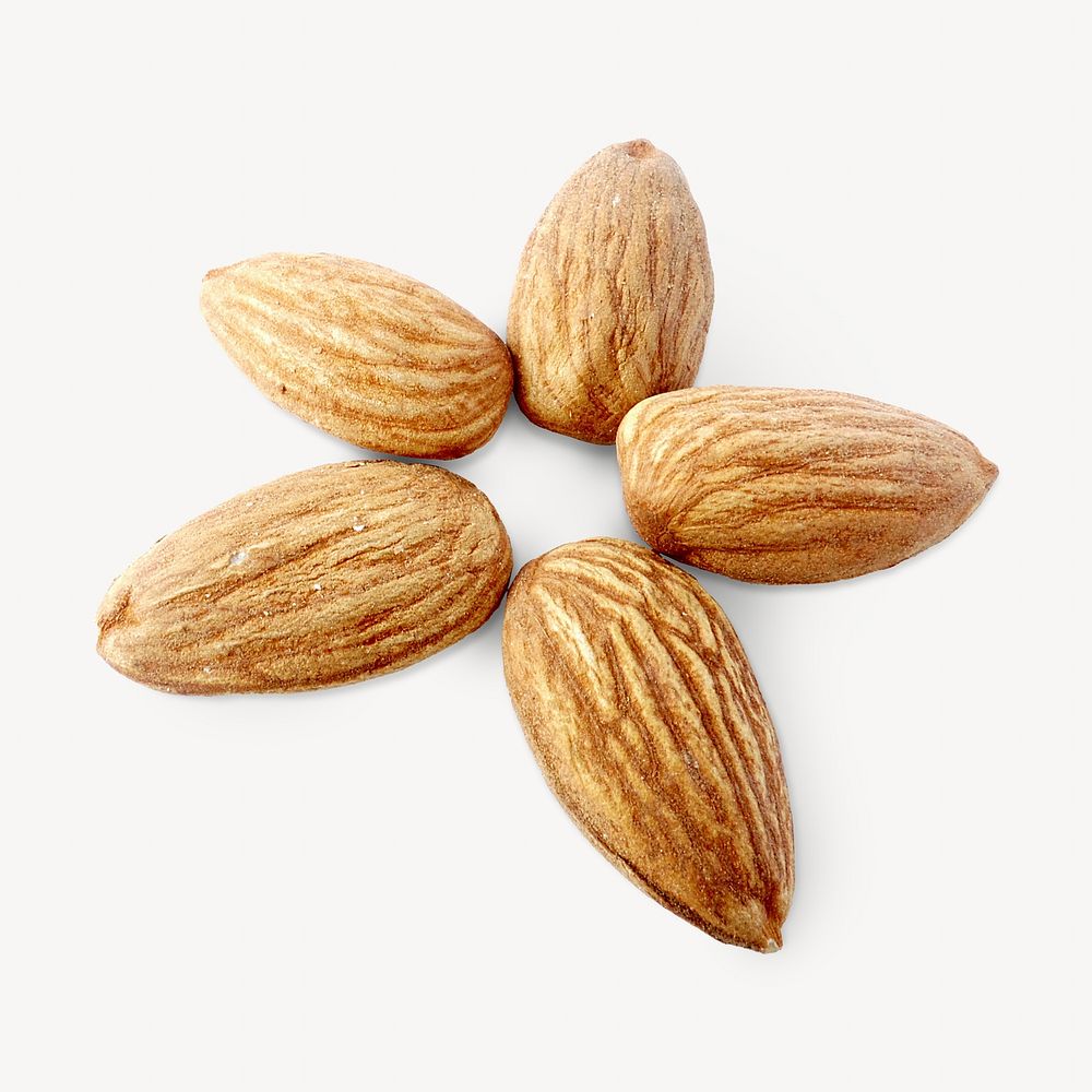Almonds image on white design