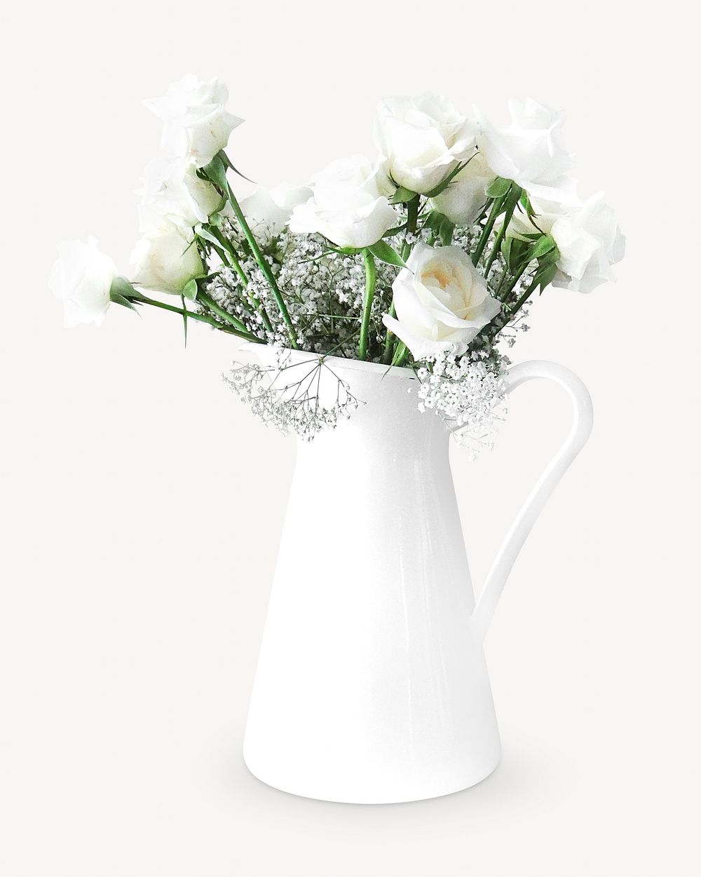White rose in vase isolated design