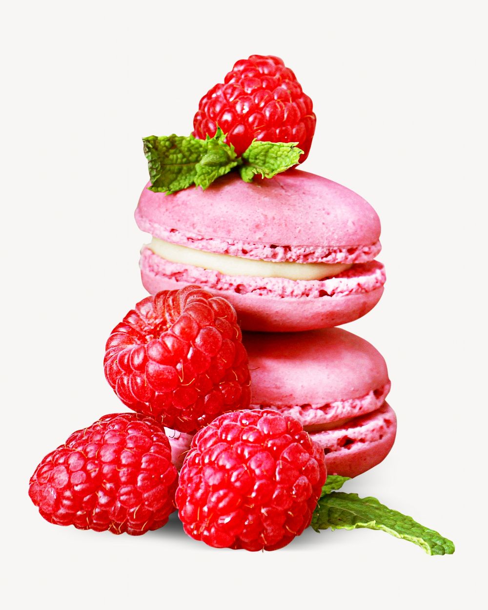 Raspberry macarons, isolated image
