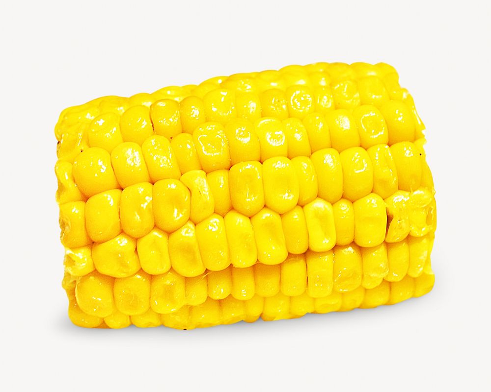 Corn cob image on white design