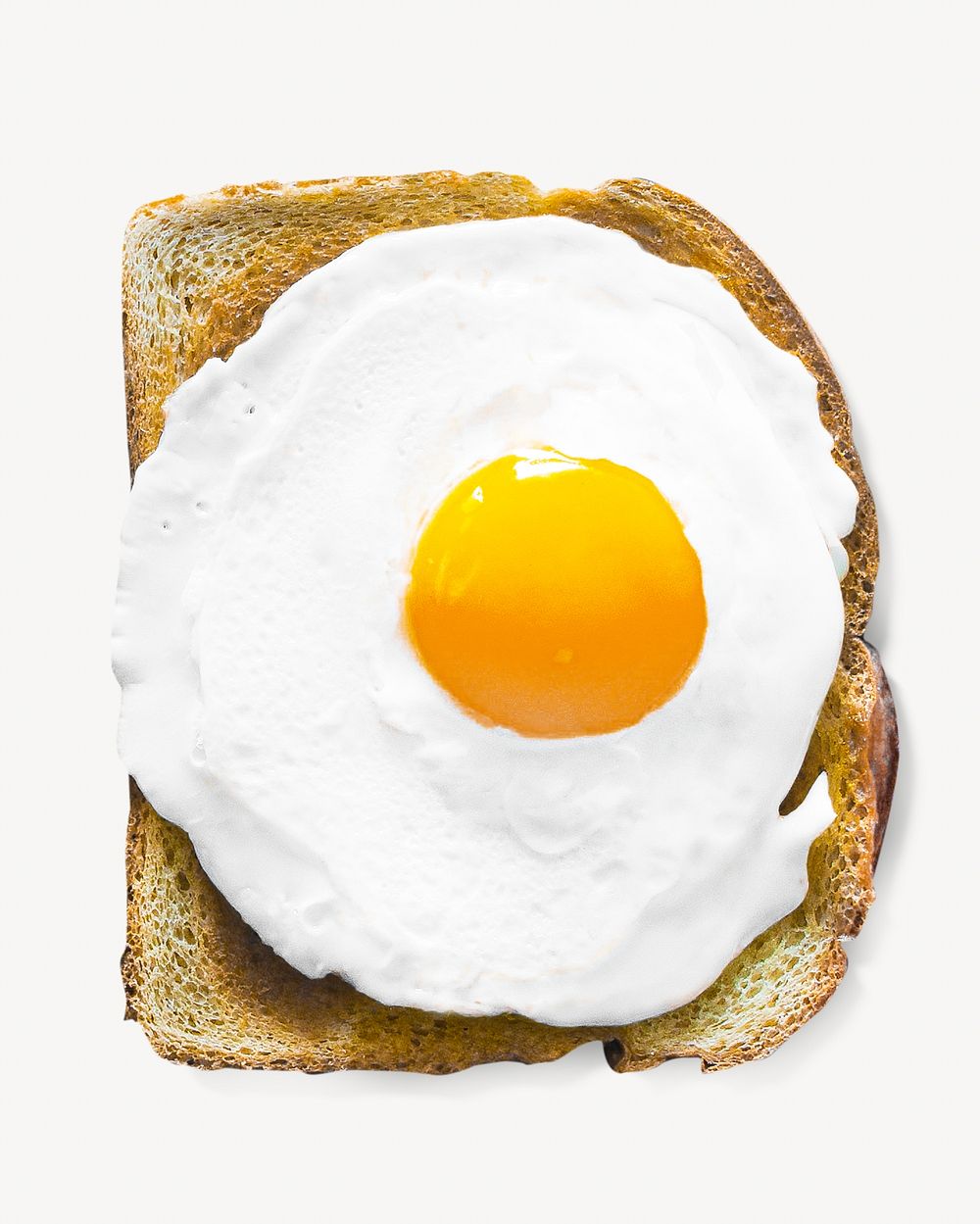 Egg on toast breakfast, isolated image