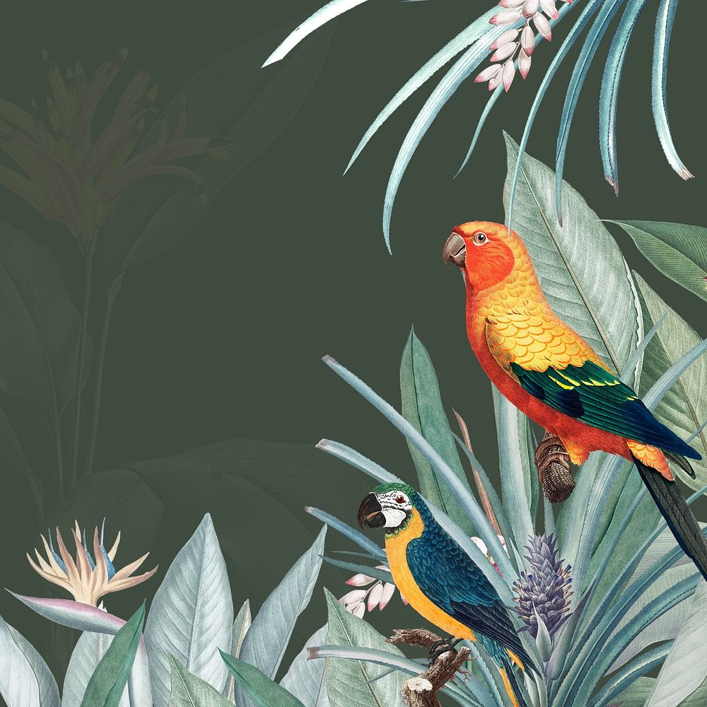 Colorful parrots in the woods illustration