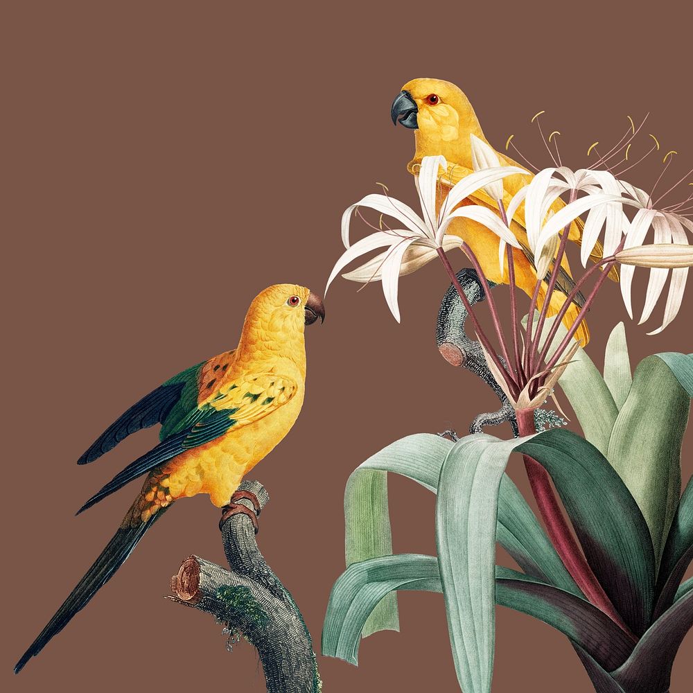 Yellow birds illustration on brown