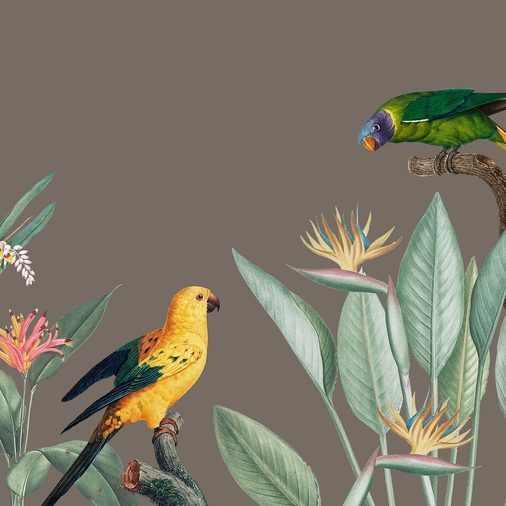 Yellow birds, vintage illustration image