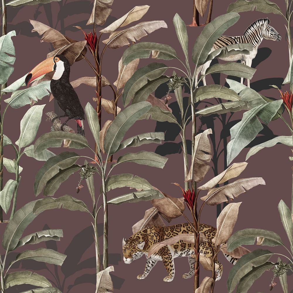Toucan birds in forest illustration