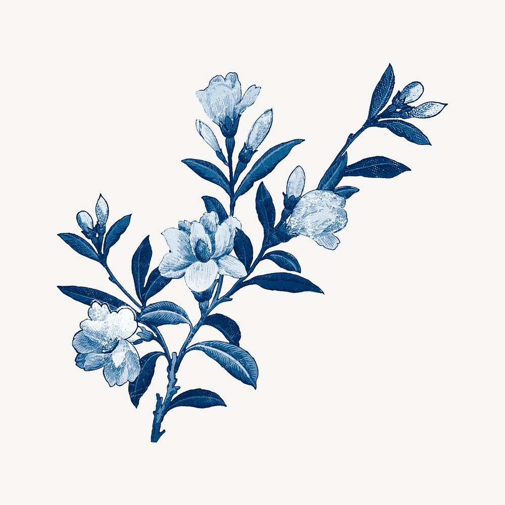 Vintage decorative peony aesthetic, blue, monochromatic psd