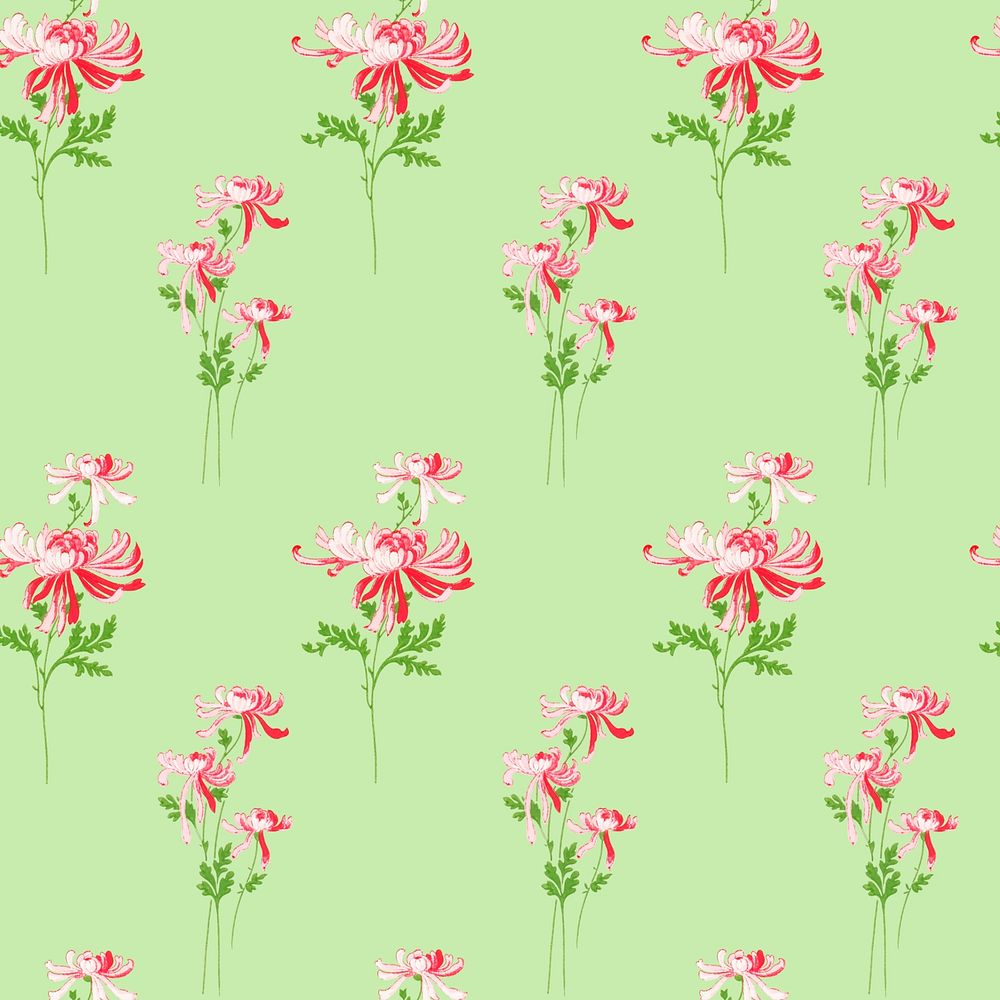 Pink chrysanthemum flower pattern, green background