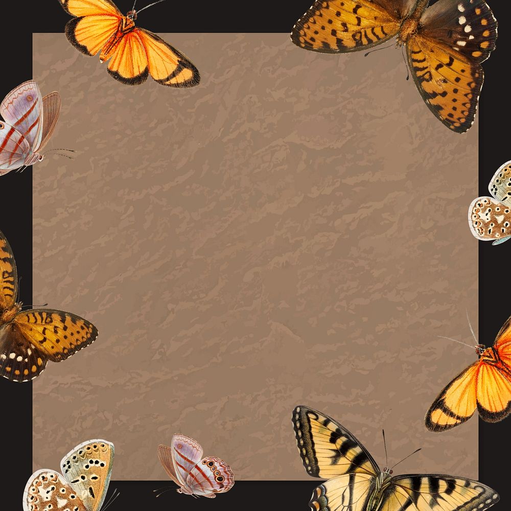 Brown butterfly frame background