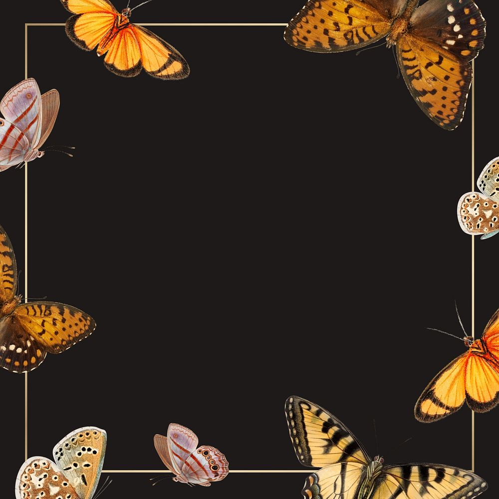 Butterfly border frame black background