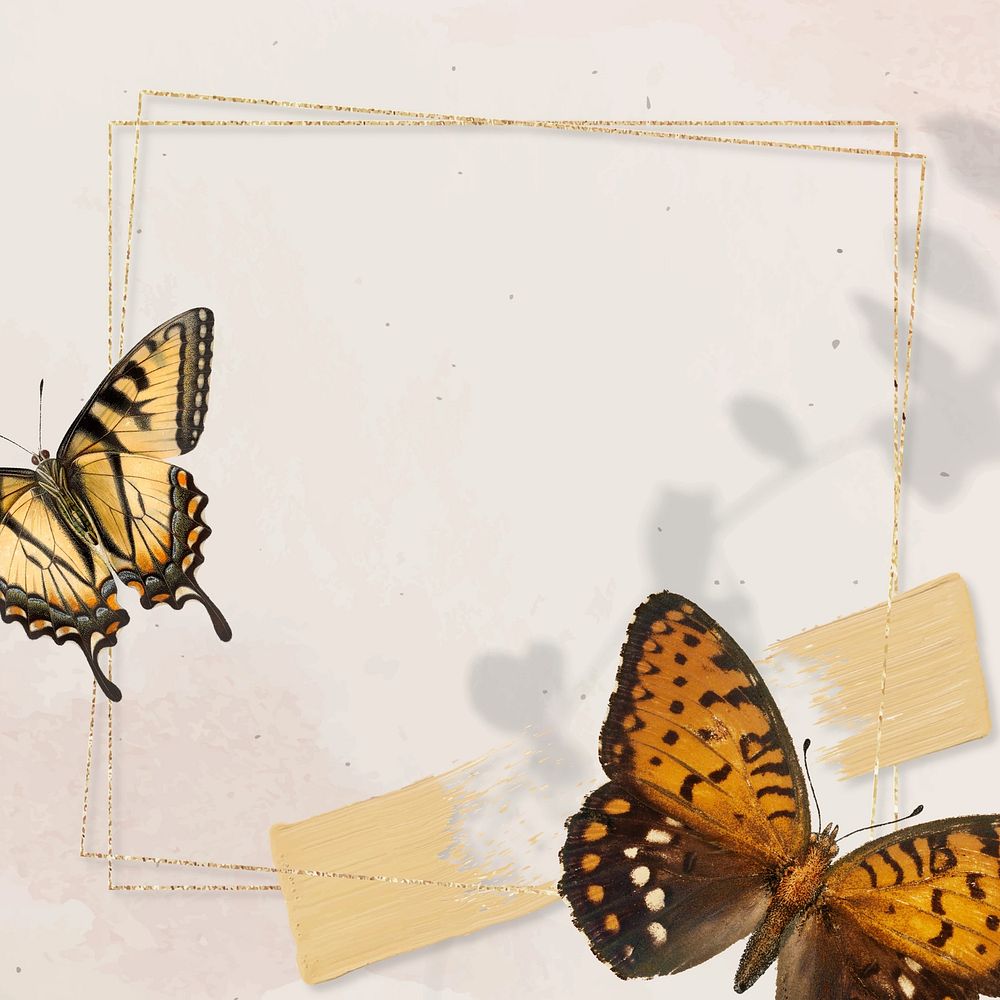 Aesthetic butterfly frame background