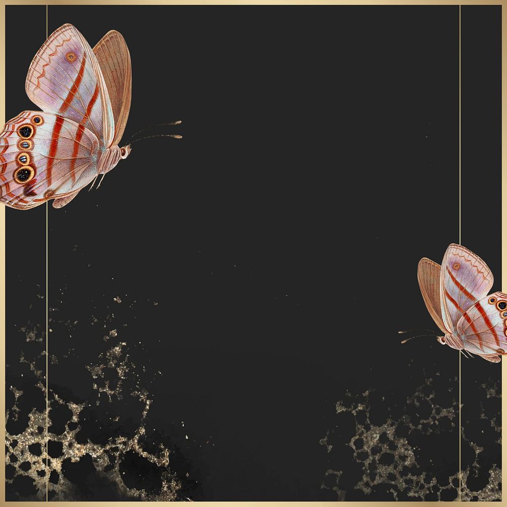 Golden butterfly frame, black background