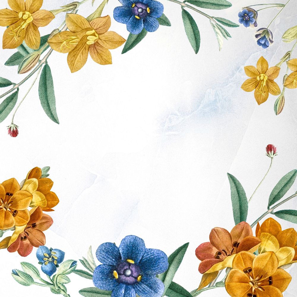 Floral frame background, white design