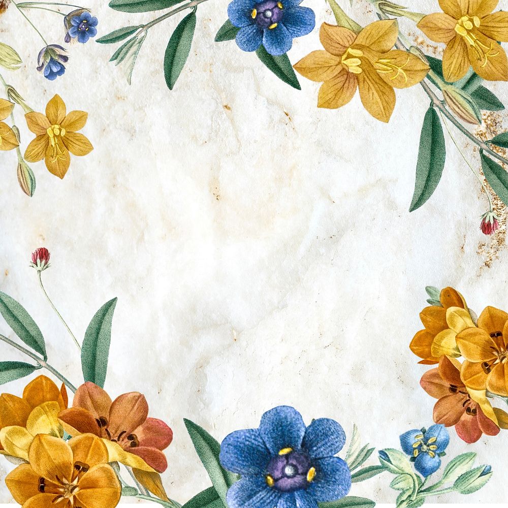 Floral frame background, white design