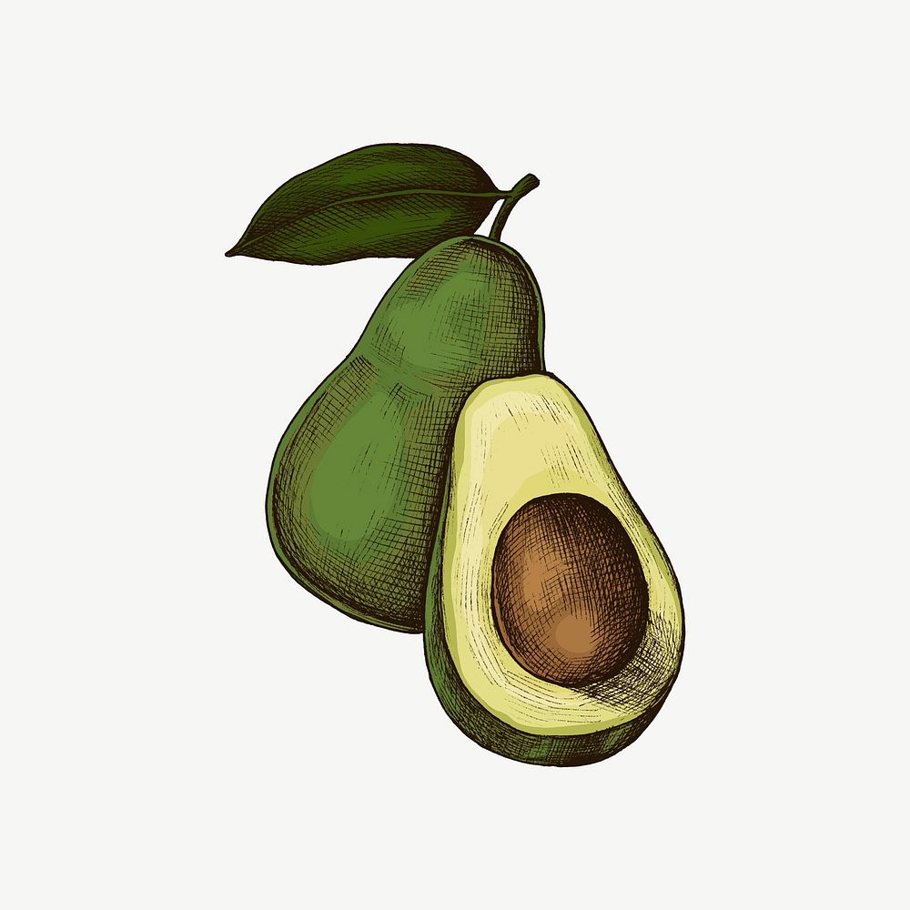 Avocado vintage illustration, collage element psd