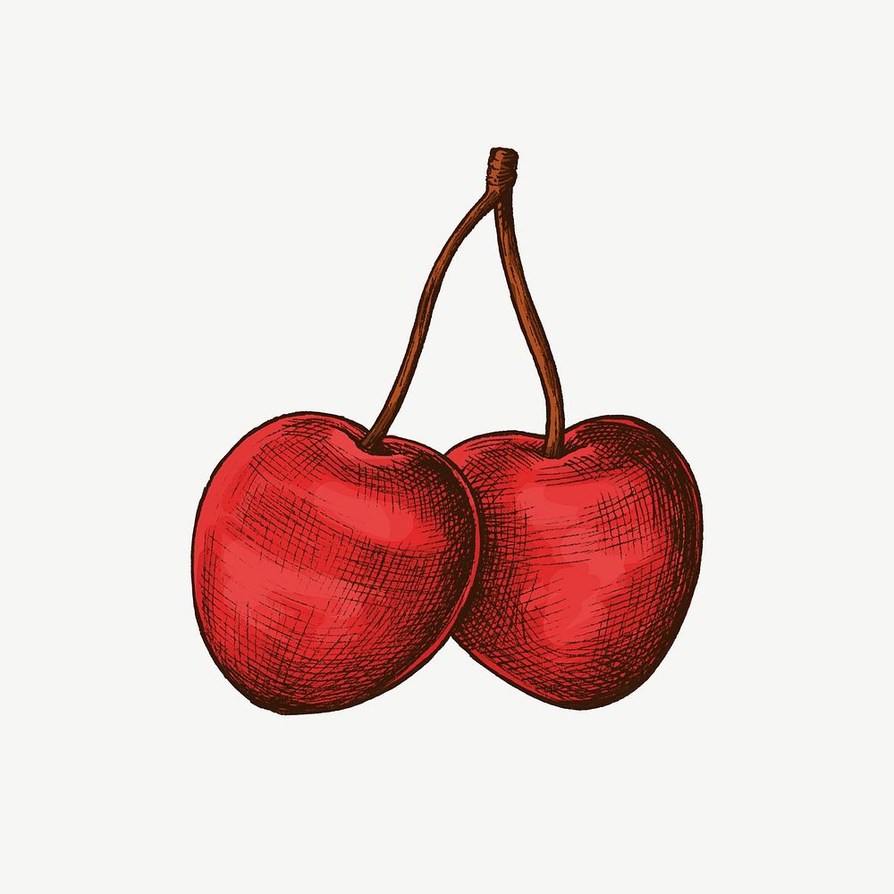Cherries vintage illustration, fruit collage element psd