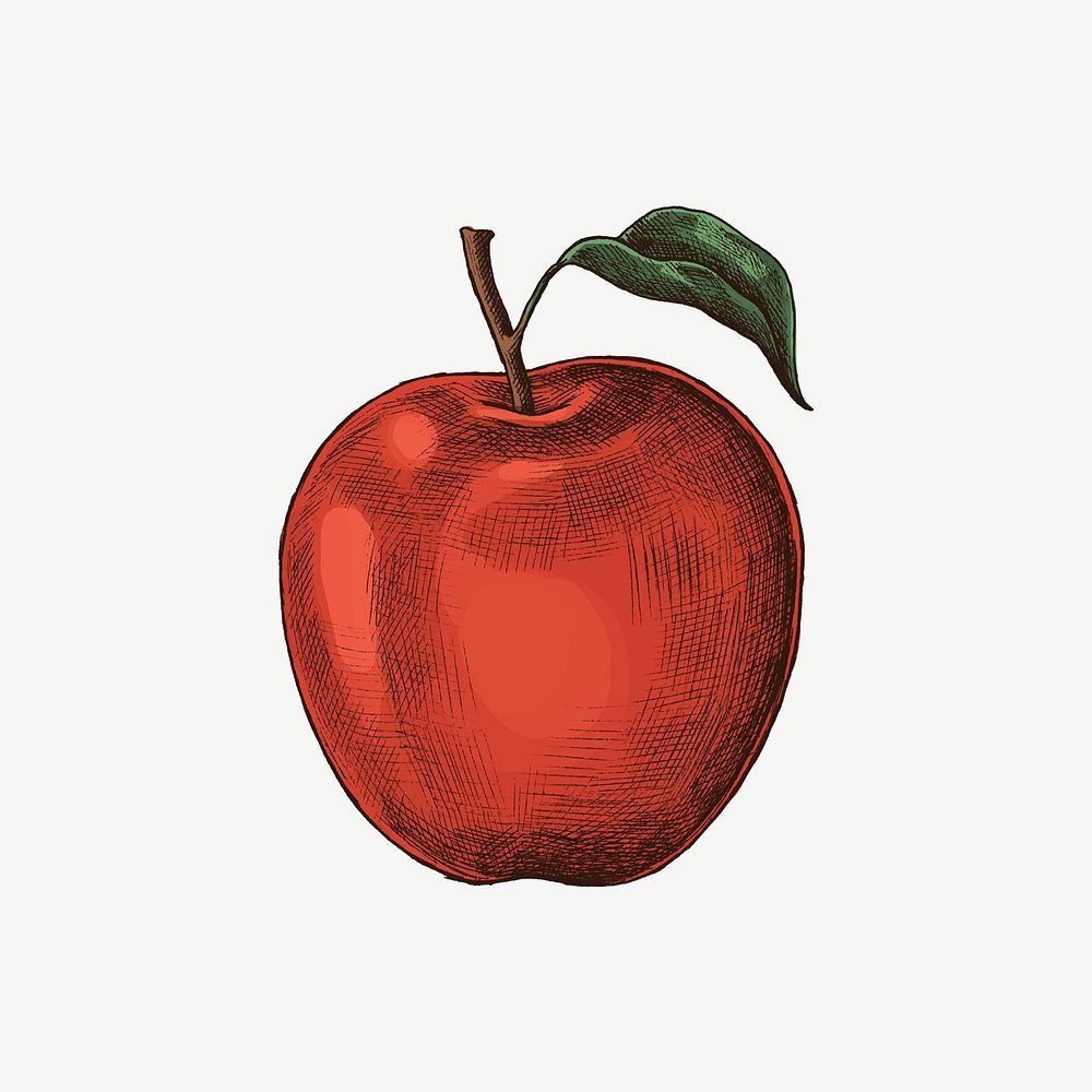Fresh red apple illustration vintage illustration, collage element psd