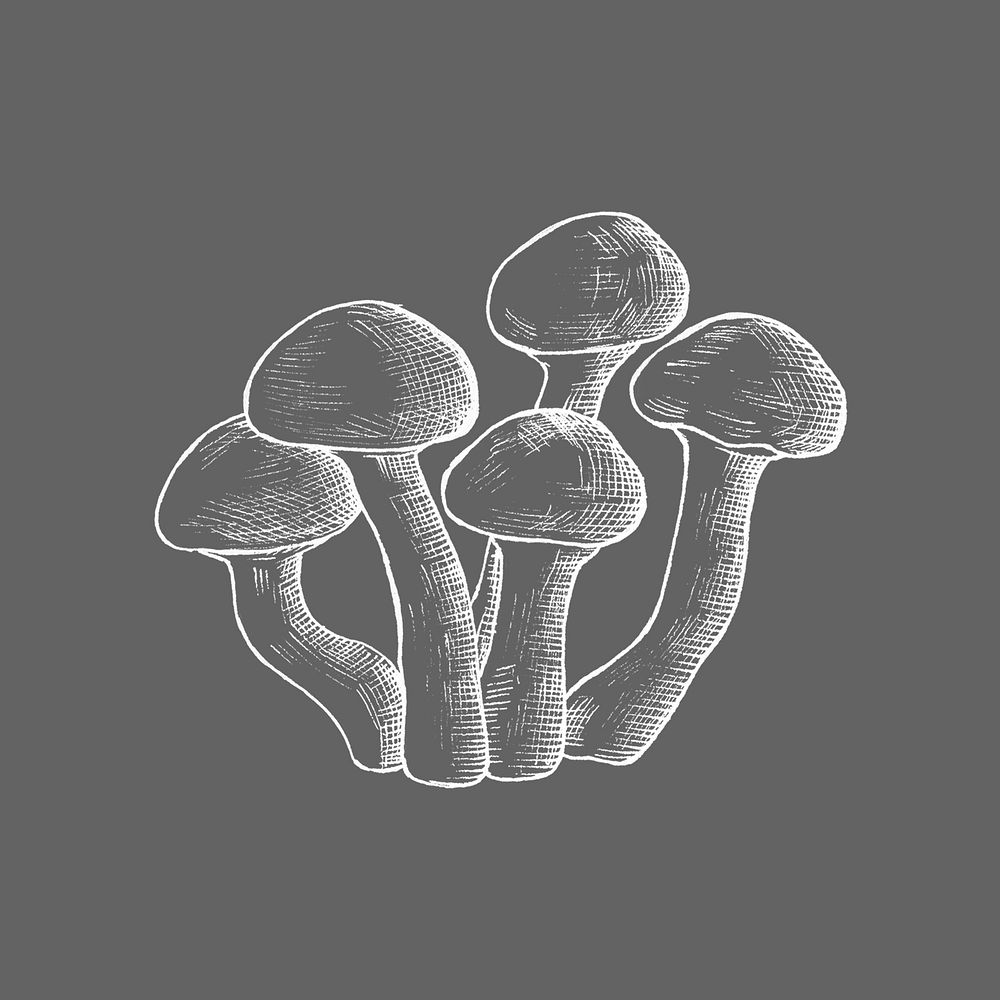 Mushroom white illustration, food collage element psd