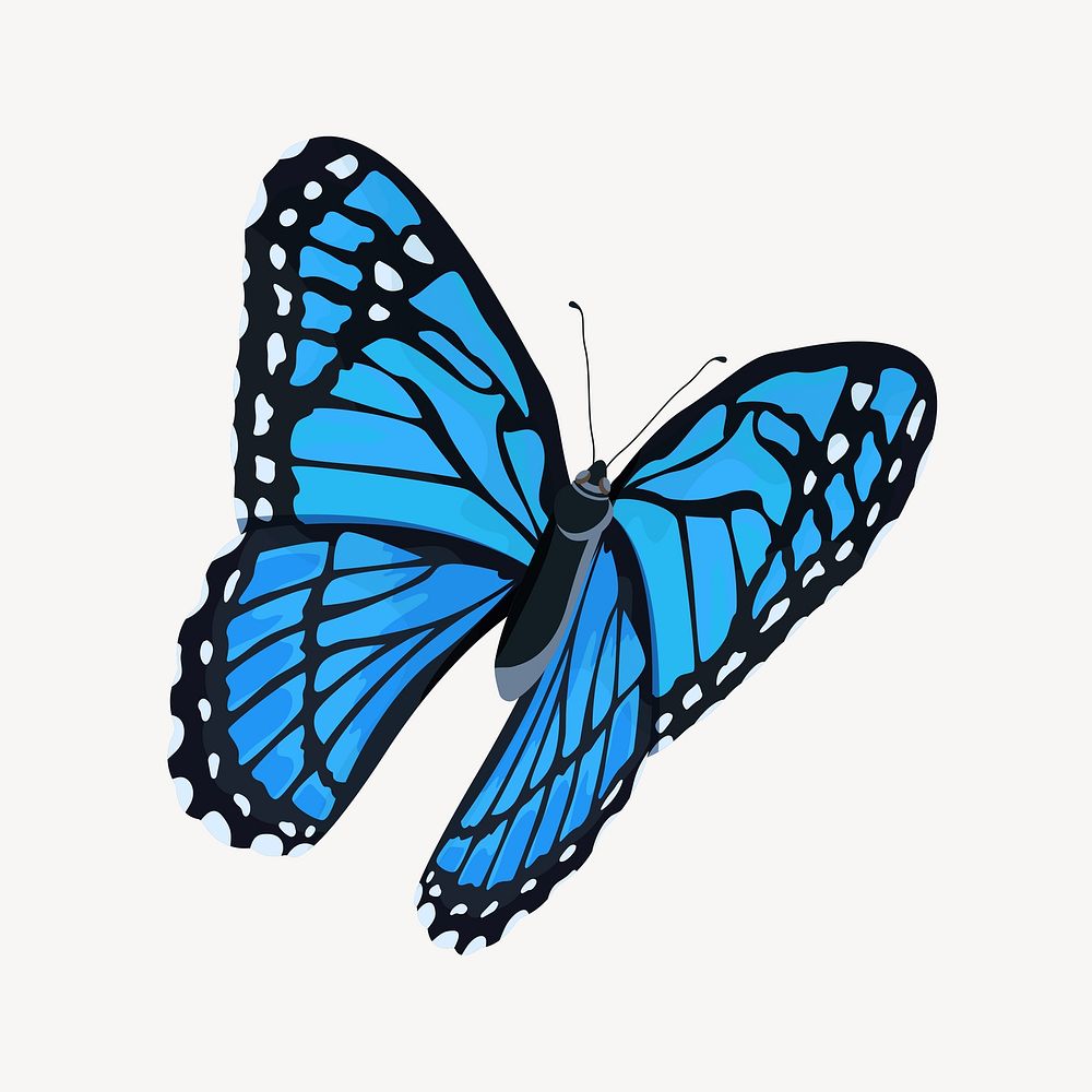Aesthetic blue butterfly illustration vector