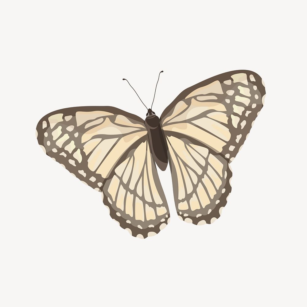 Aesthetic beige butterfly illustration vector