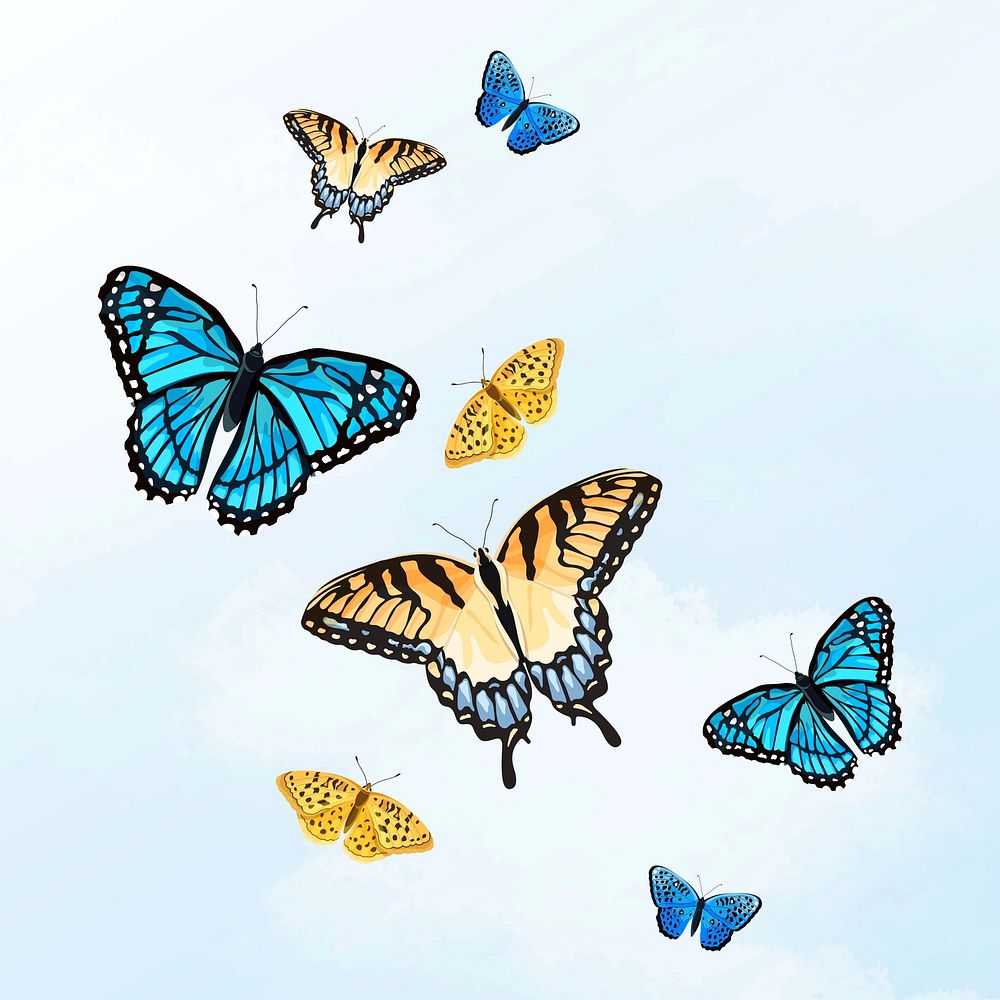 Colorful sky butterfly illustration background