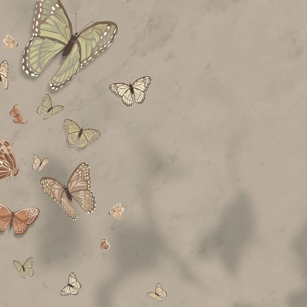 Aesthetic butterfly illustration background