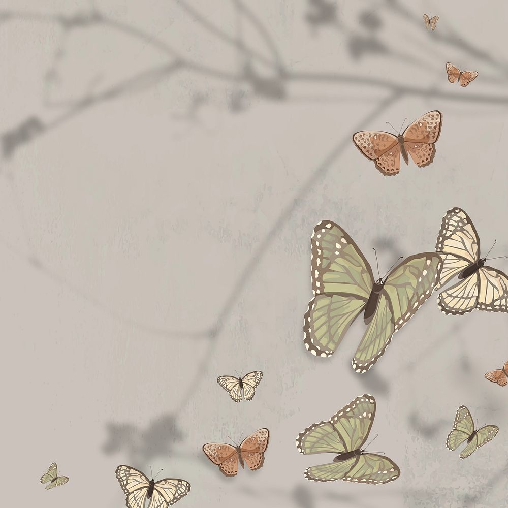 Aesthetic butterfly nature illustration background