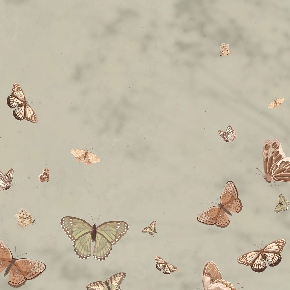 Aesthetic butterfly nature illustration background