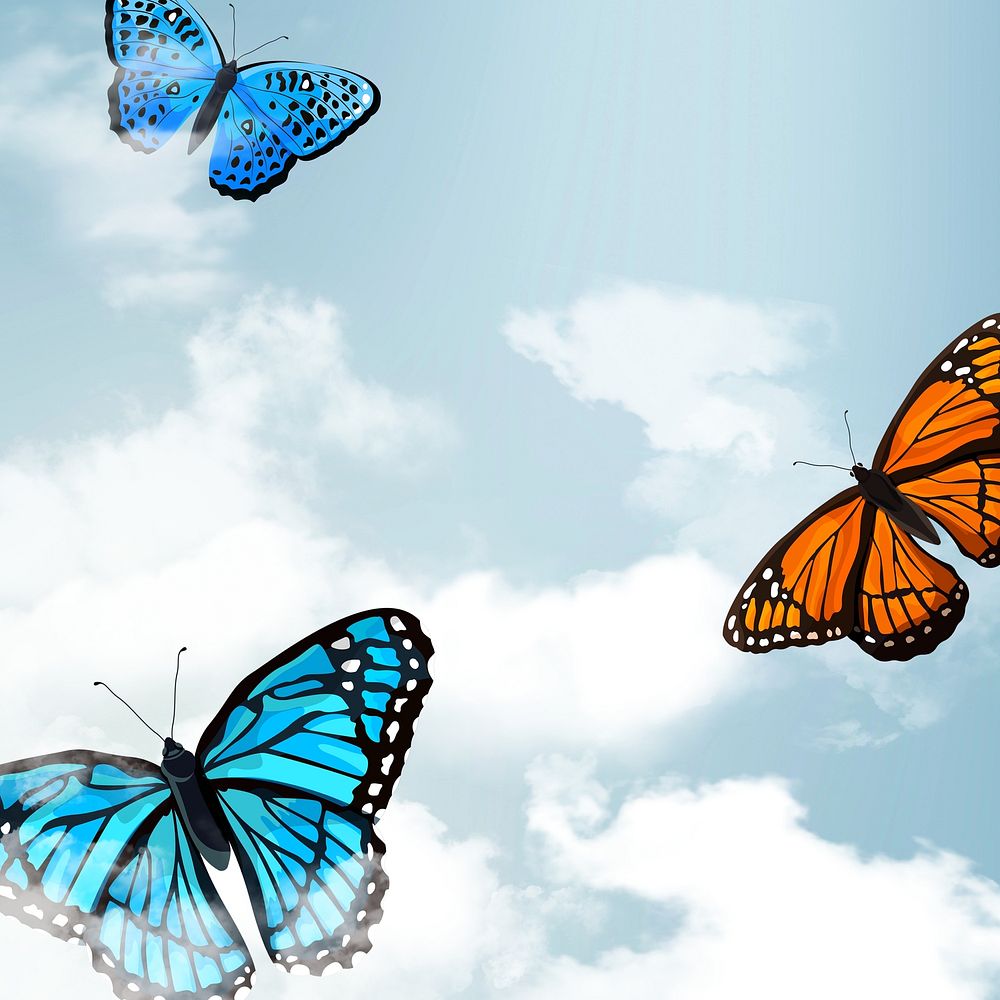 Colorful butterfly sky illustration background