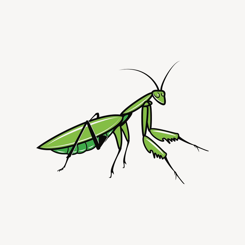Mantis clipart illustration vector. Free public domain CC0 image.