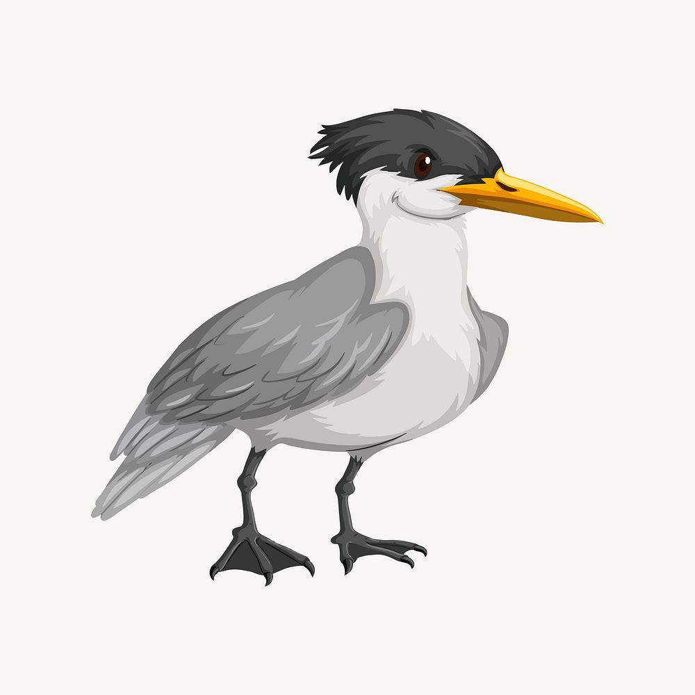 Heron bird illustration. Free public domain CC0 image.
