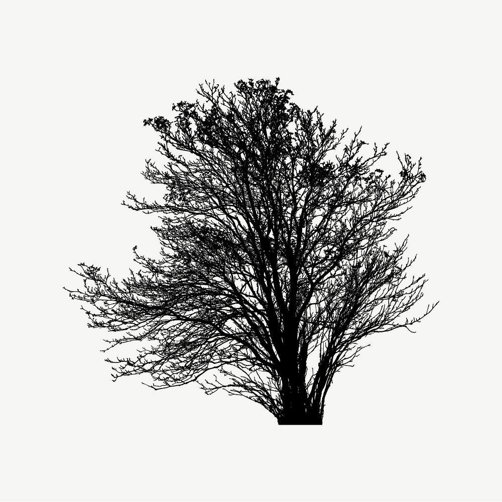 Silhouette tree clipart illustration psd. Free public domain CC0 image.