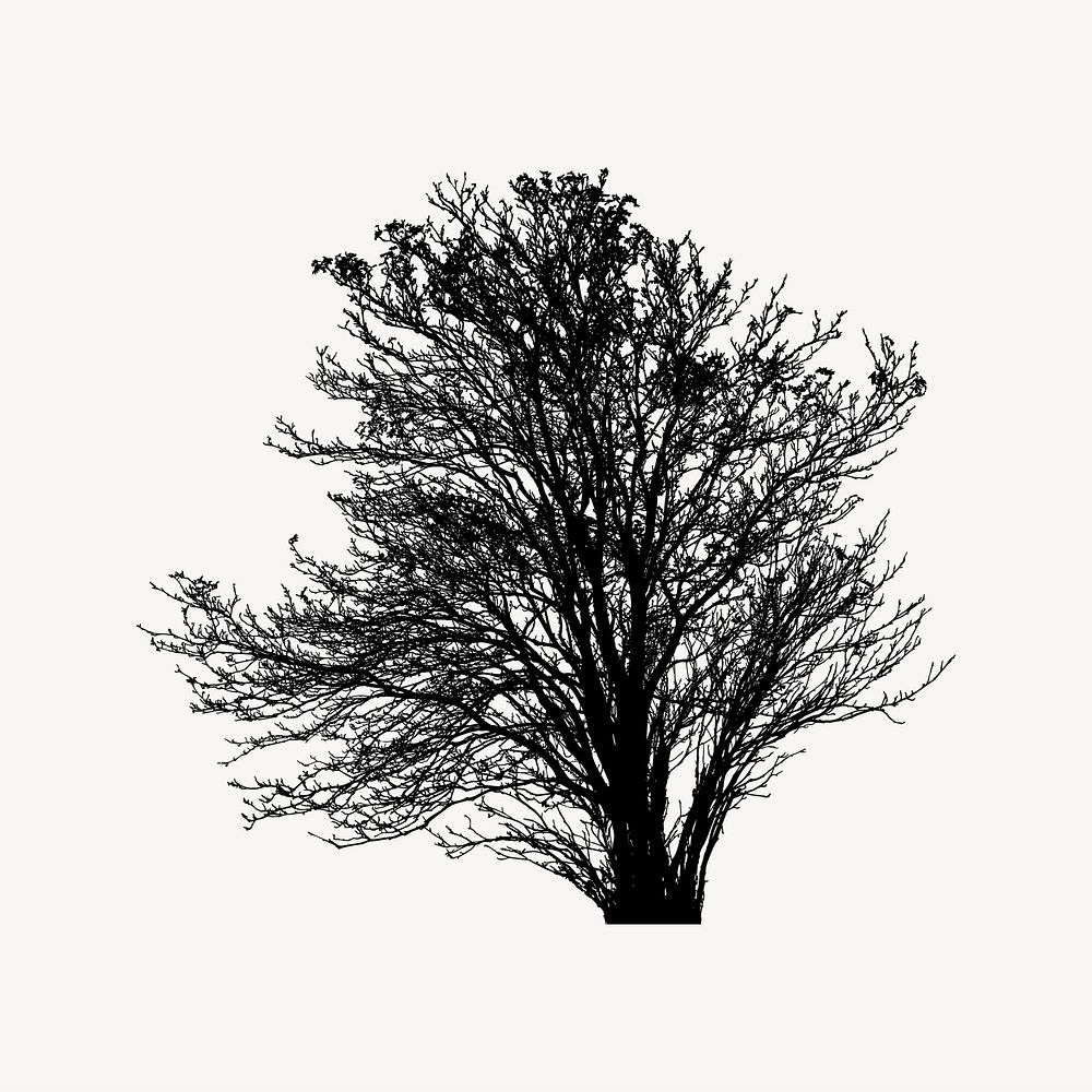 Silhouette tree clipart illustration vector. Free public domain CC0 image.