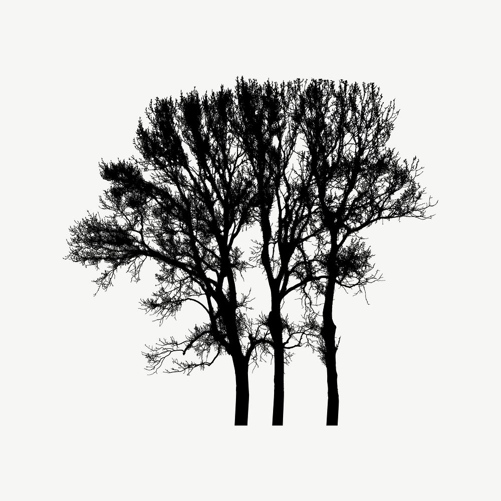 Triple Winter Trees Silhouette design element psd