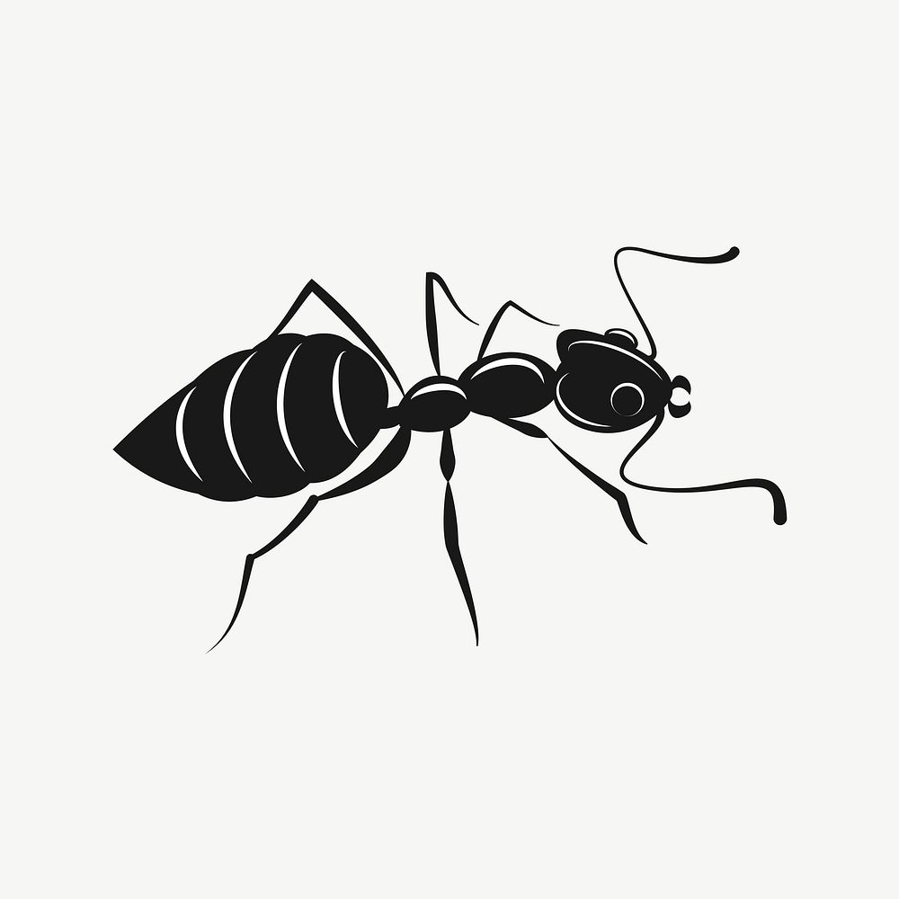Ant silhouette clip art psd