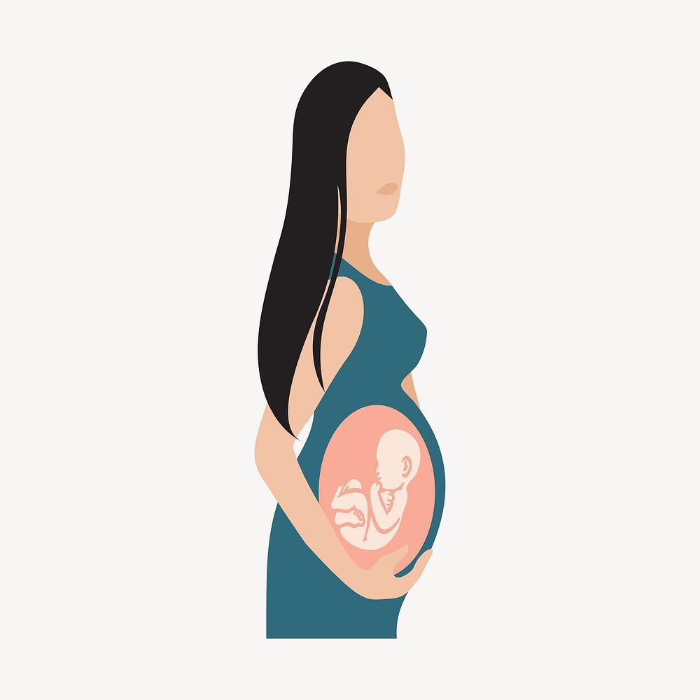 Pregnant woman with see through belly illustration vector