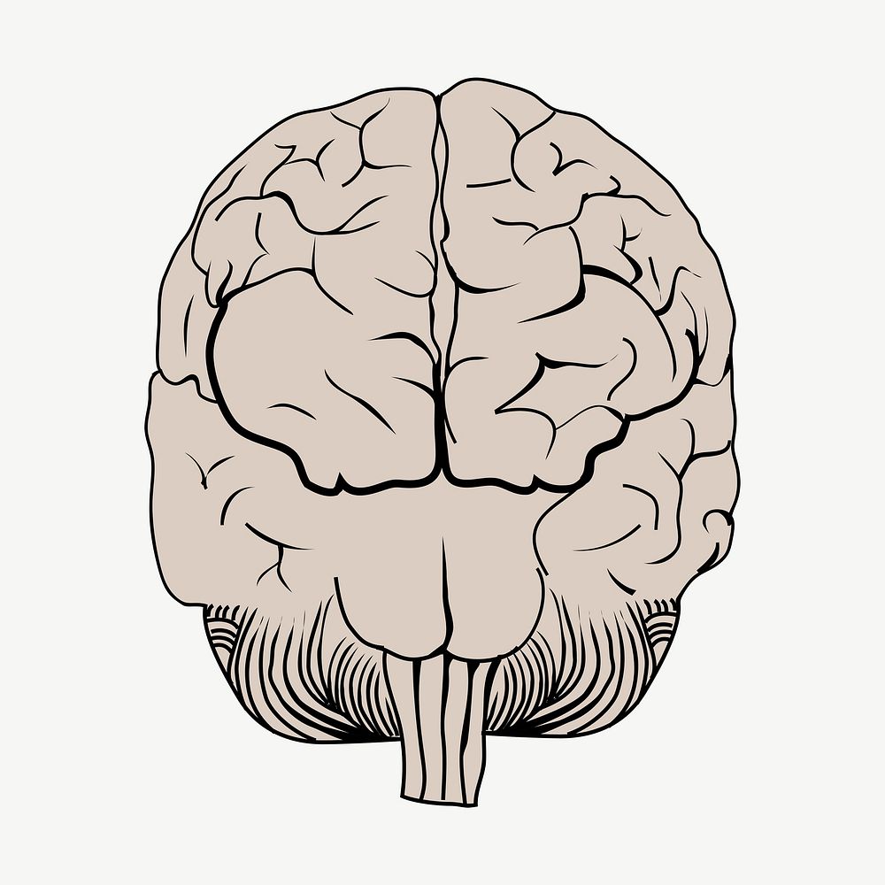 Brain posterior view design element psd