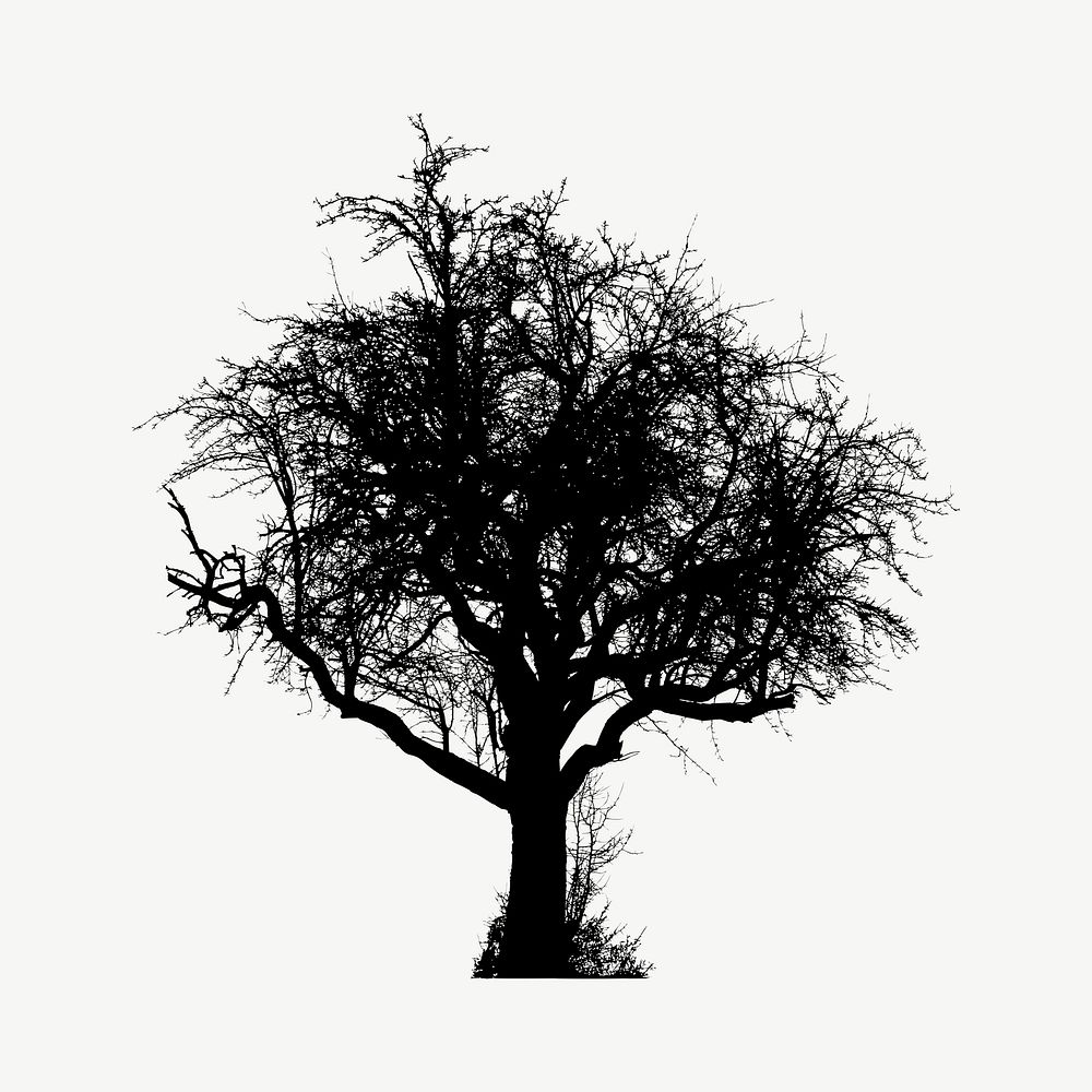 Yet Another Winter Tree Silhouette clip art psd