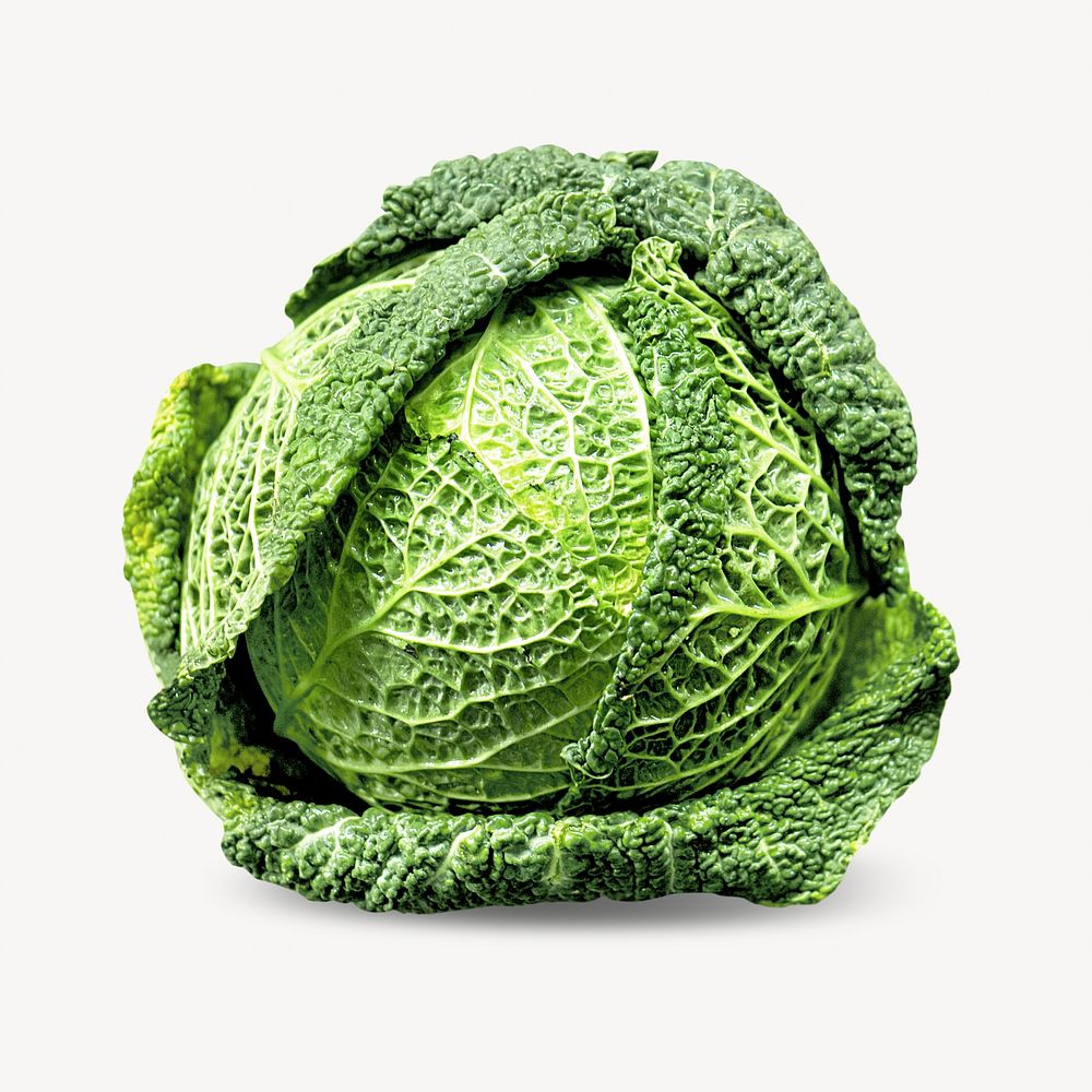 Raw fresh natural green cabbage image element