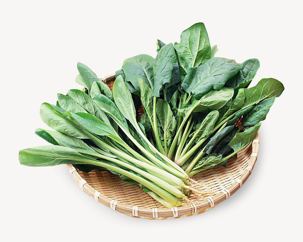 Young spinach image on white design