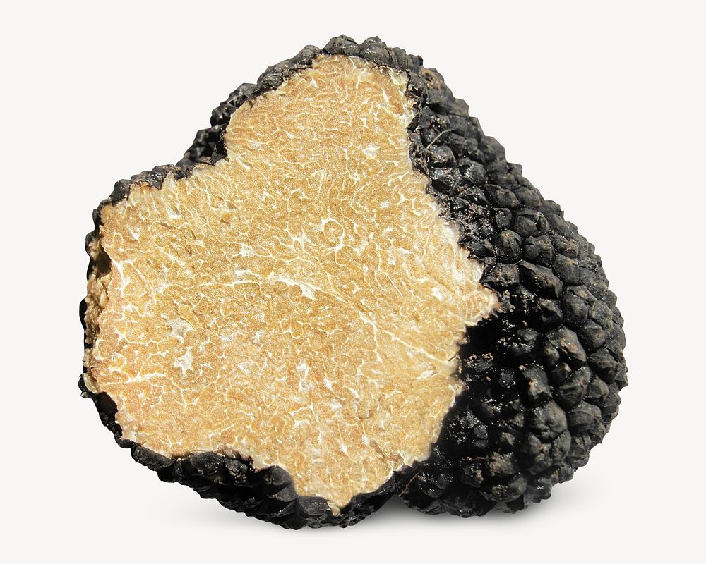 Truffle, food image on white design