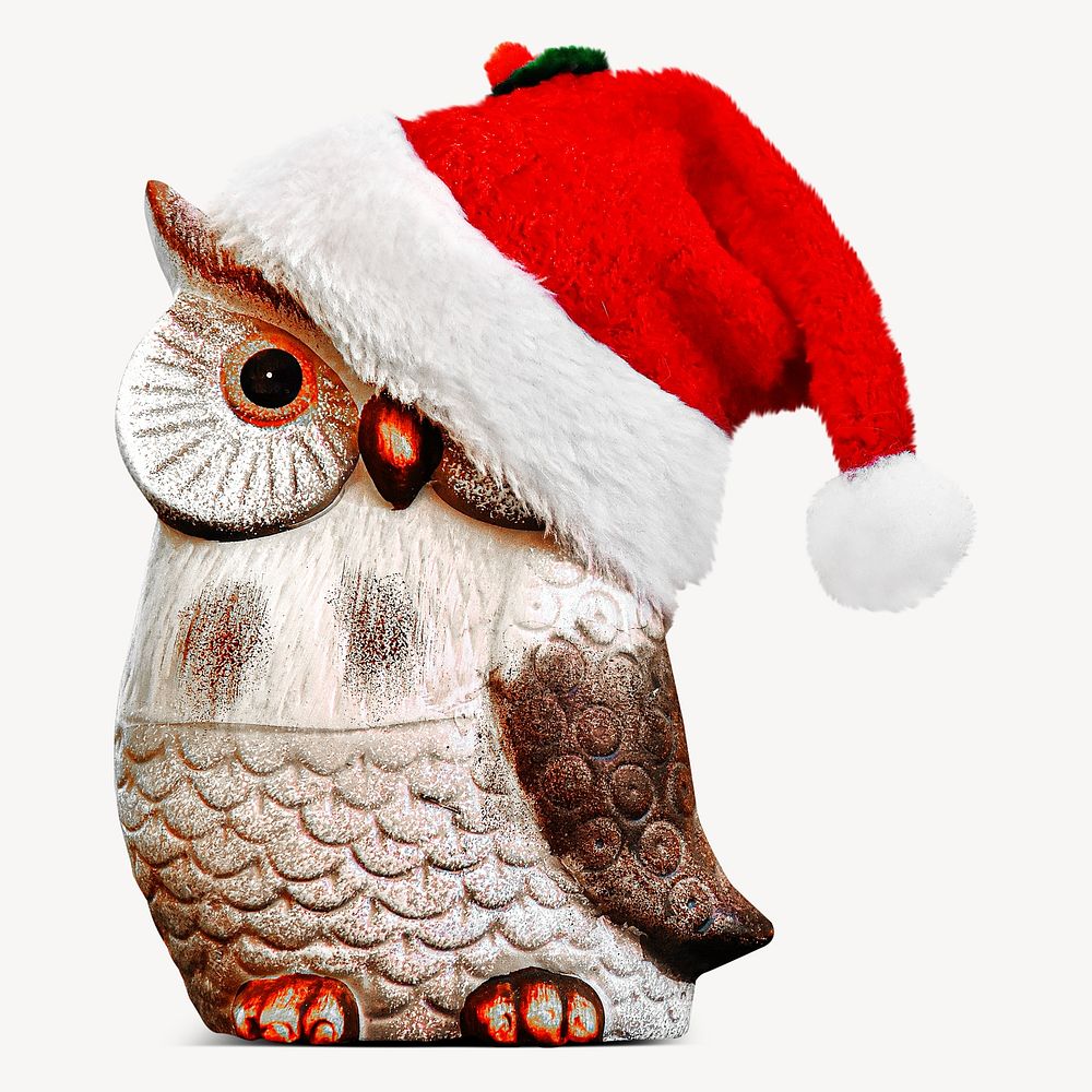Owl decoration santa hat, isolated image