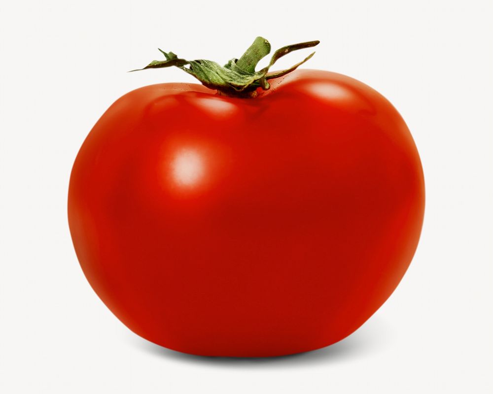 Tomato isolated image on white