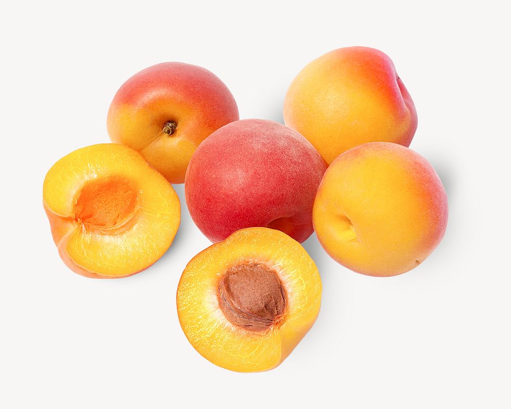 Apricots, fruit image on white design