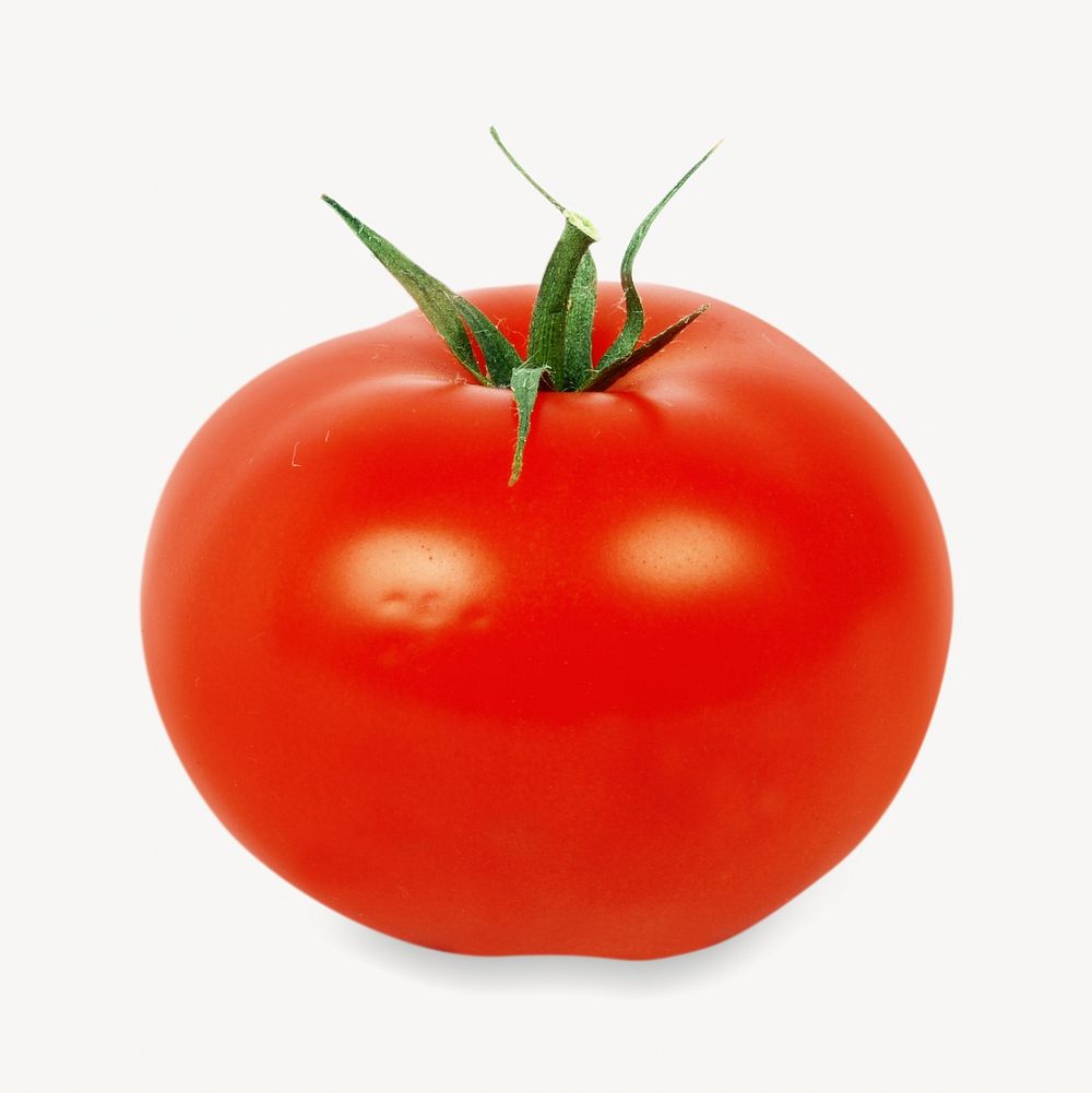 Tomato isolated image