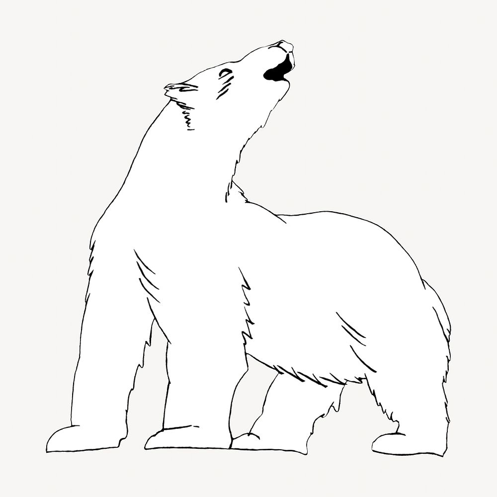 Polar bear drawing. Remixed by rawpixel. 