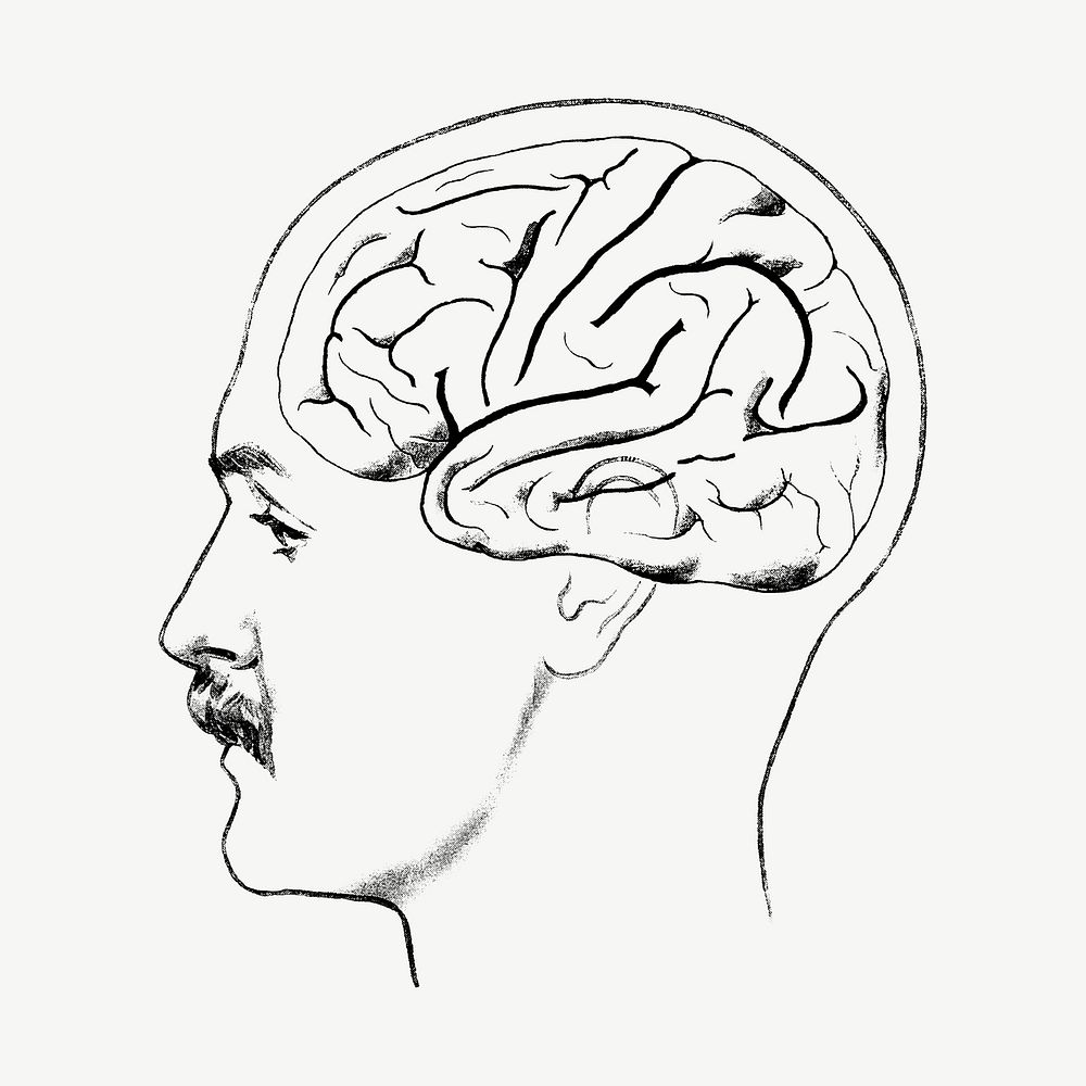 Human brain vintage illustration psd. Remixed by rawpixel. 