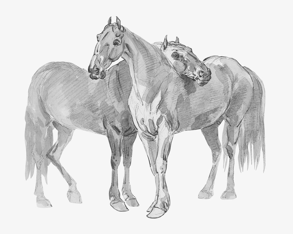 Horses vintage illustration. Remixed by rawpixel. 