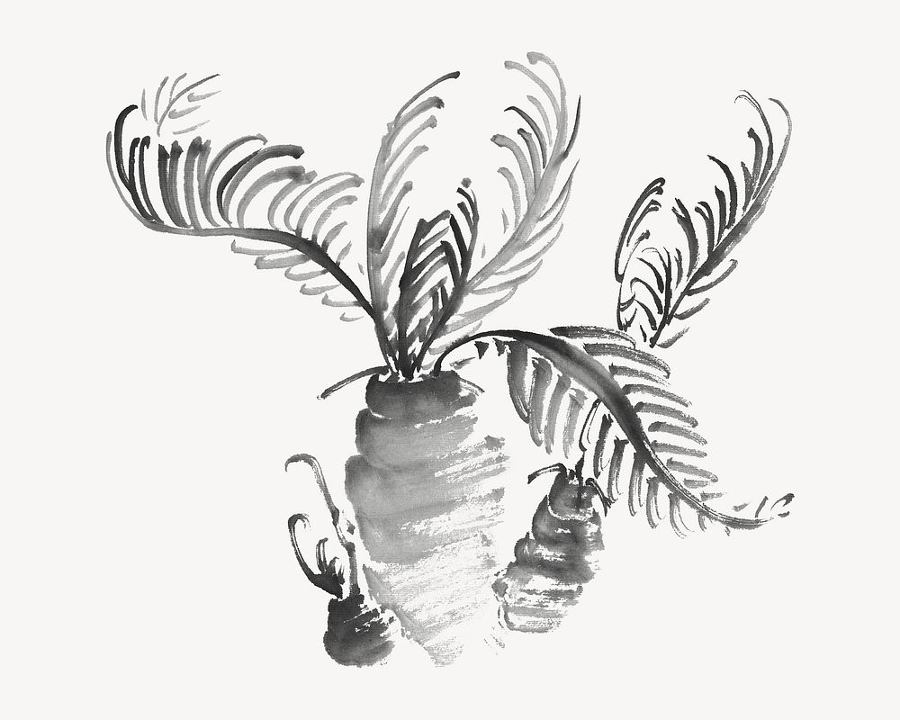 Cycad tree, vintage botanical illustration by Ike Taiga. Remixed by rawpixel.