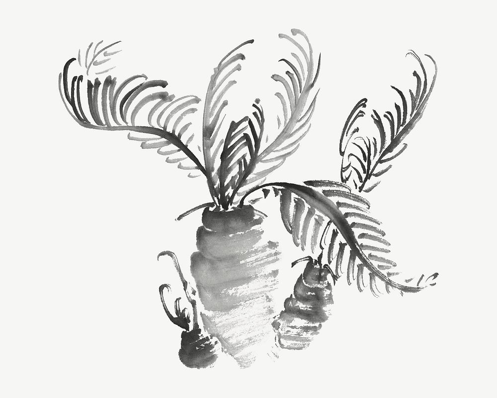 Cycad tree, vintage botanical illustration by Ike Taiga psd. Remixed by rawpixel.